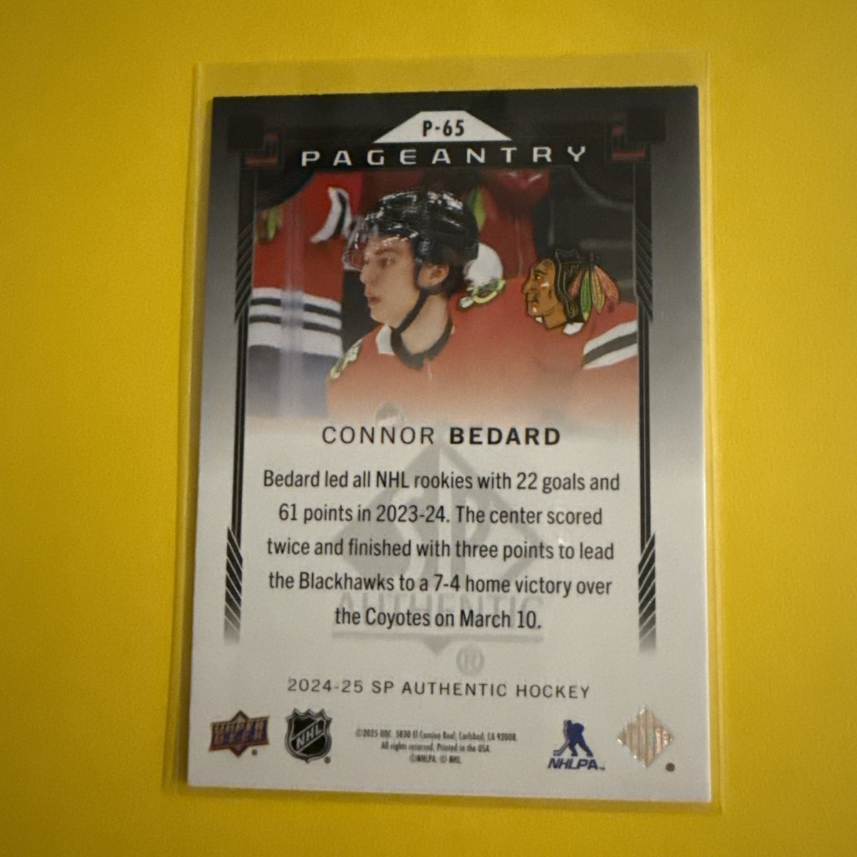 Connor Bedard 24/25 SP Authentic Pageantry Red Card - back
