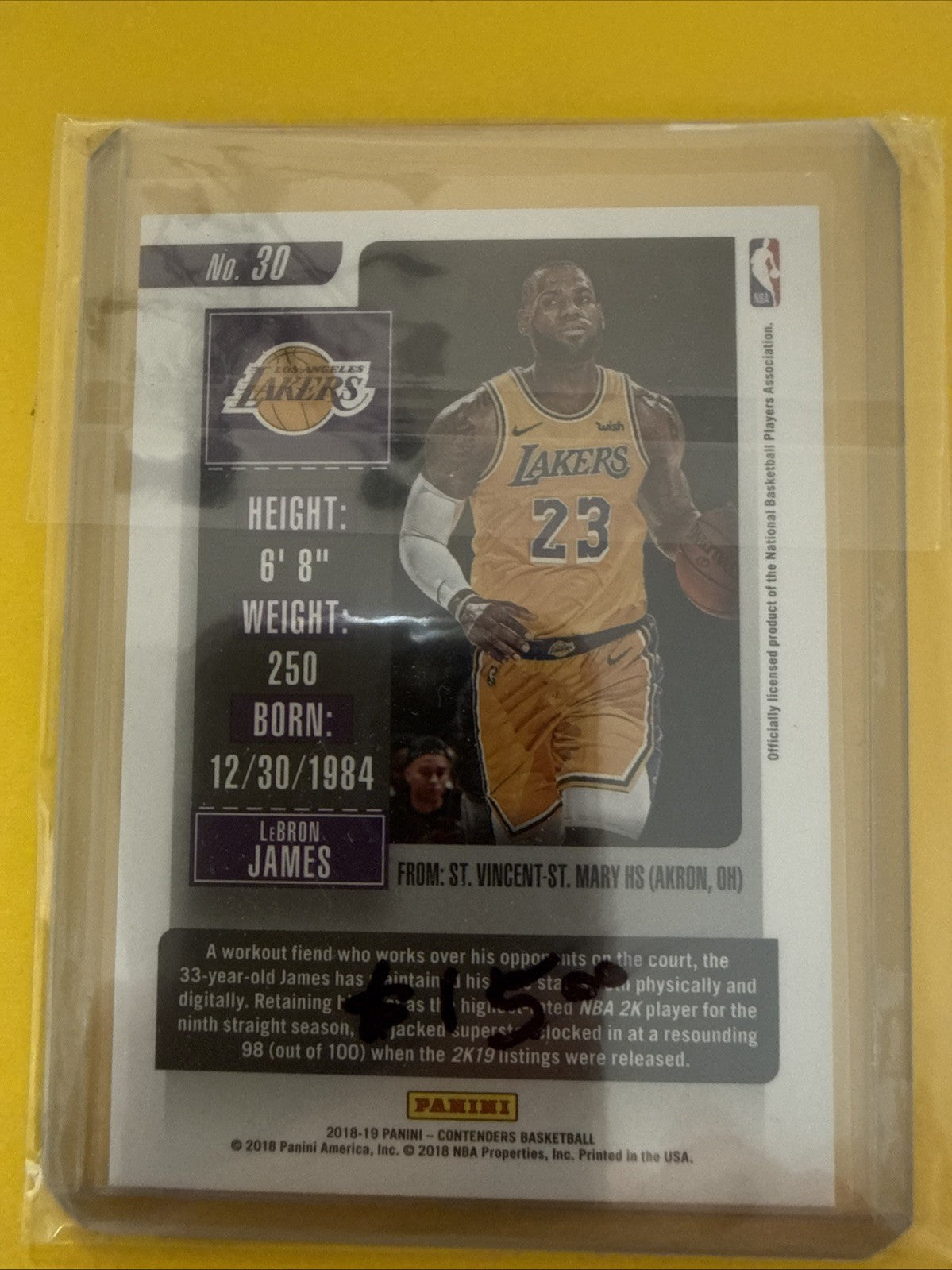 LeBron James 2018/19 Card - back
