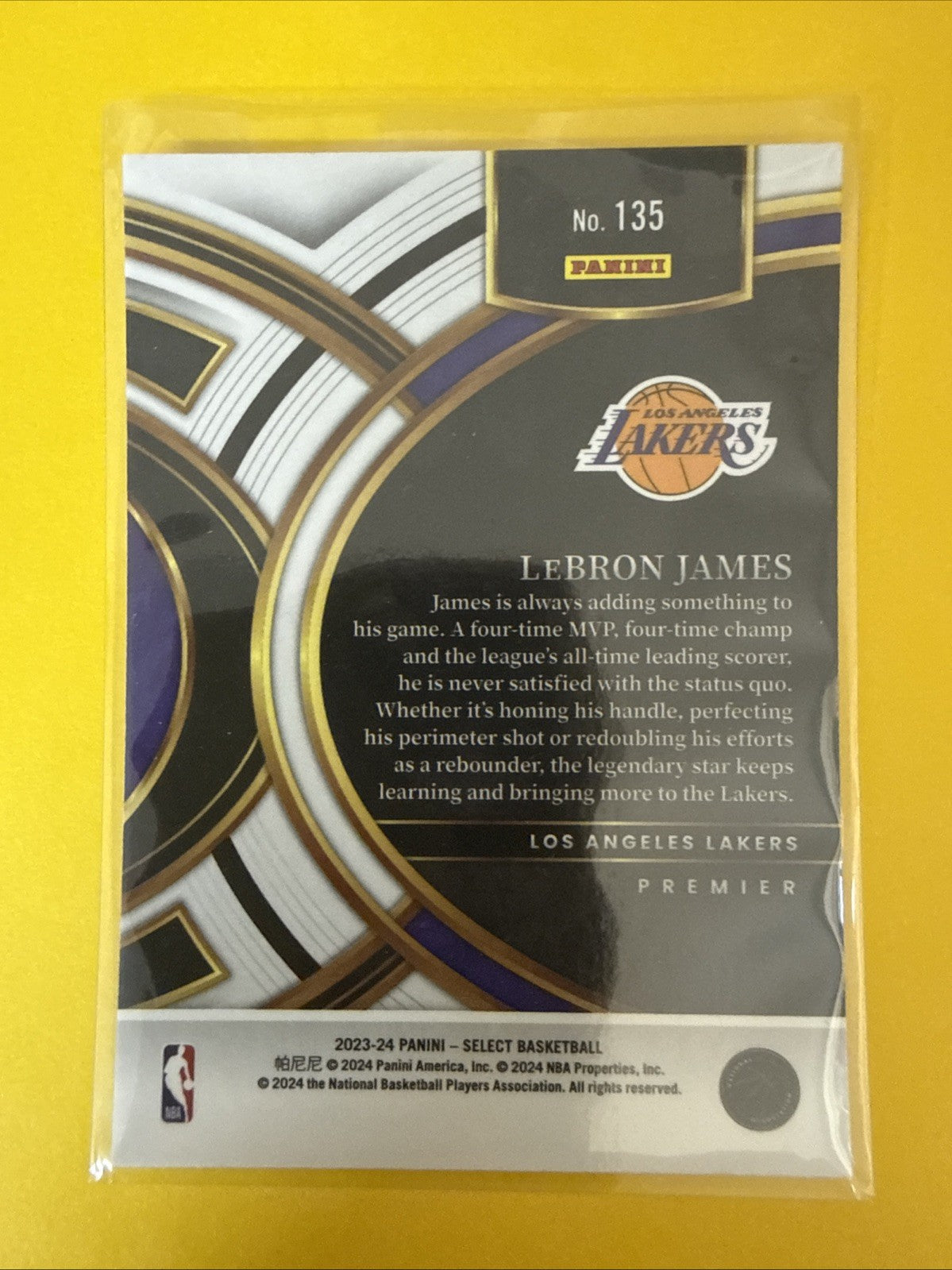 LeBron James 2023/24 Panini Select Blue Card - back