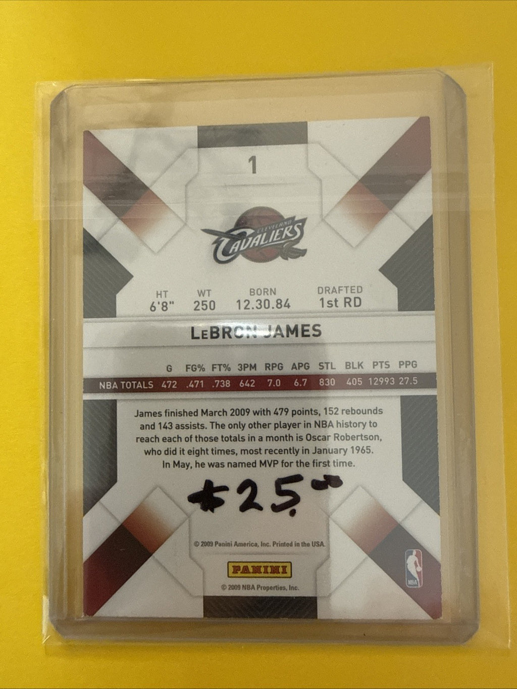 LeBron James 2008/09 Card - back