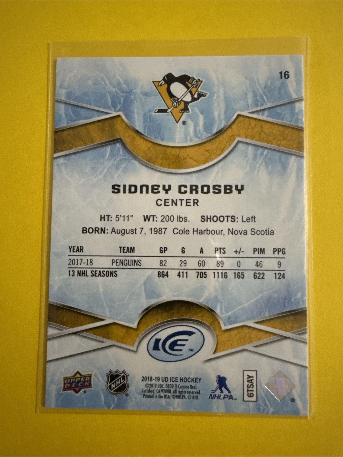 Sidney Crosby 2018/19 UD Ice Green Sparkle Card - back