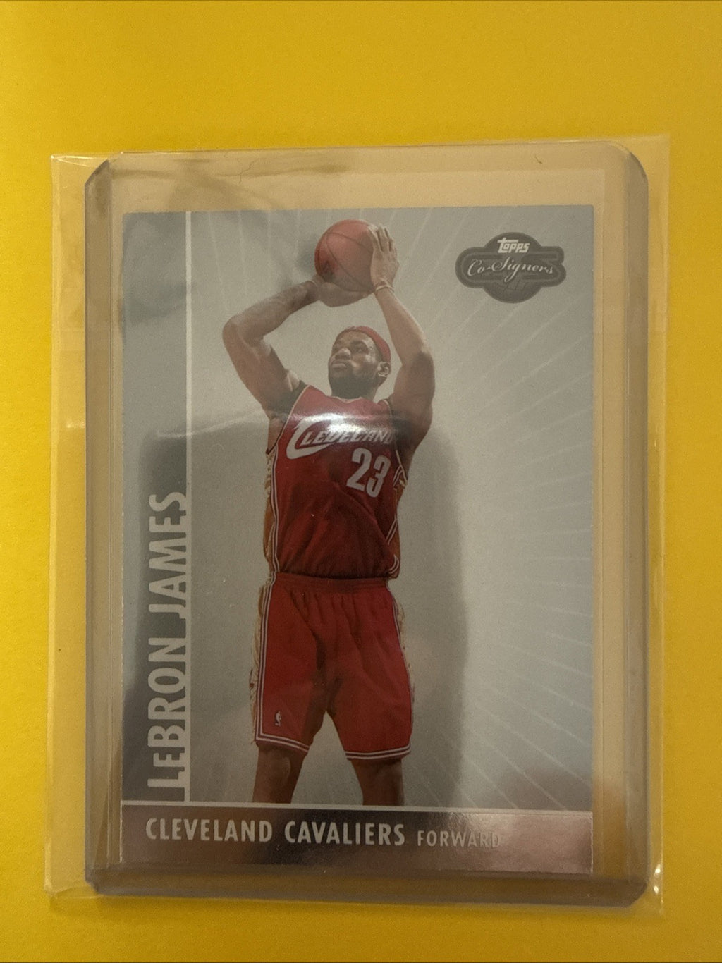 LeBron James 2008/09 Card - front
