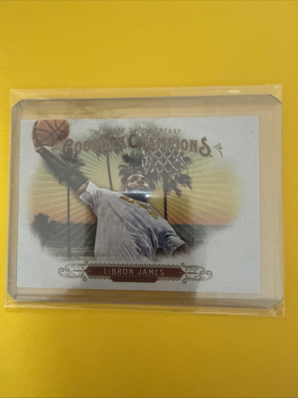LeBron James 2018/19 Card - front