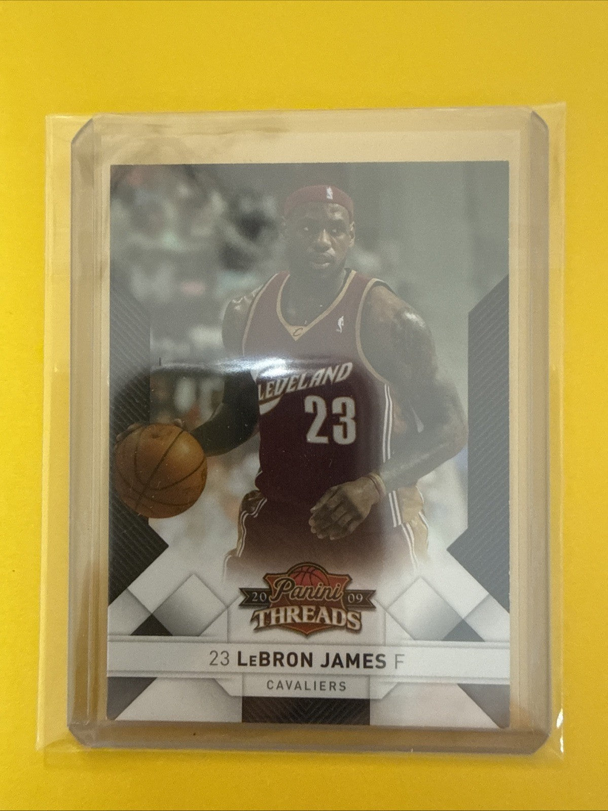 LeBron James 2008/09 Card - front