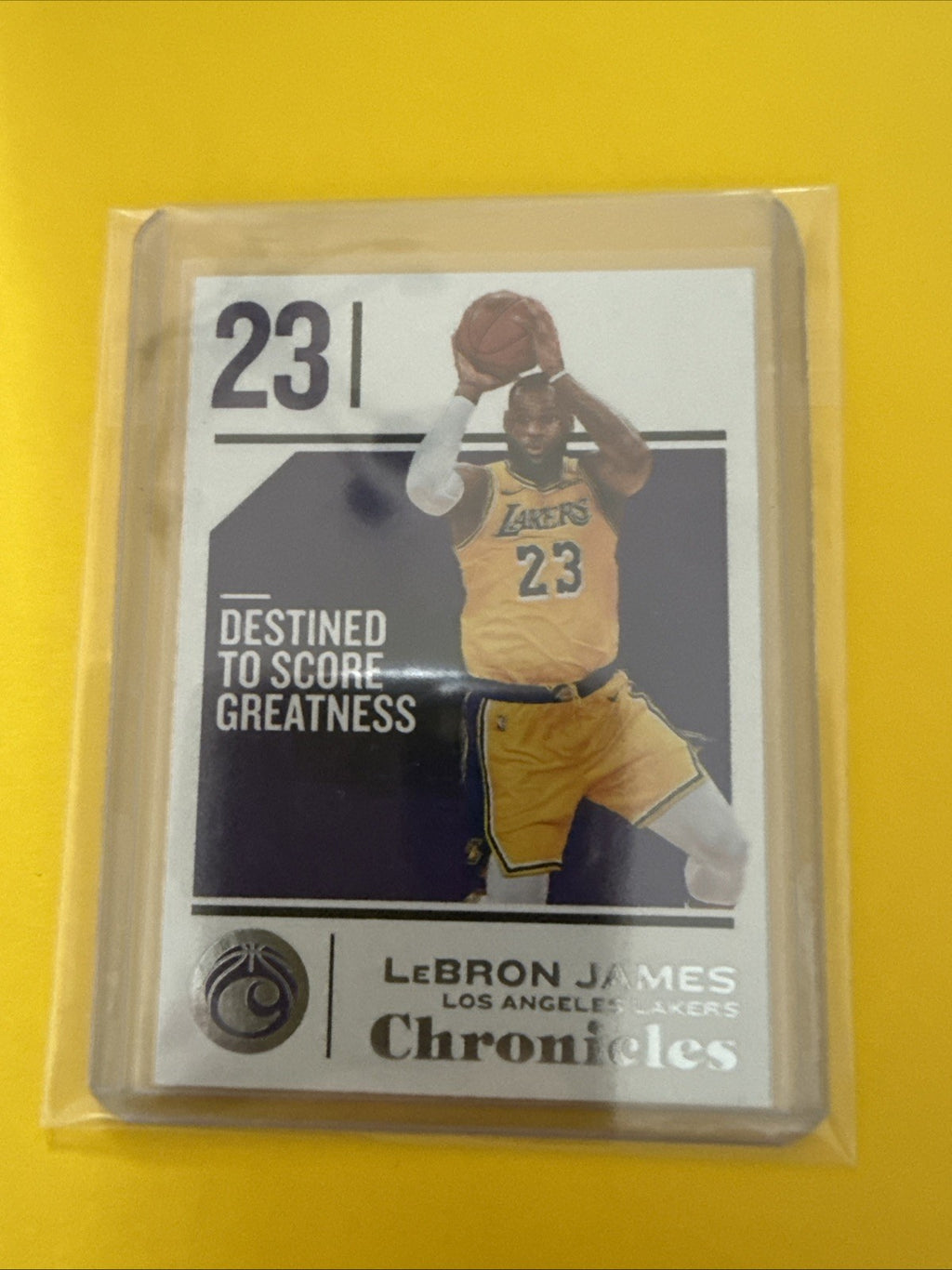 LeBron James 2018/19 Card - front