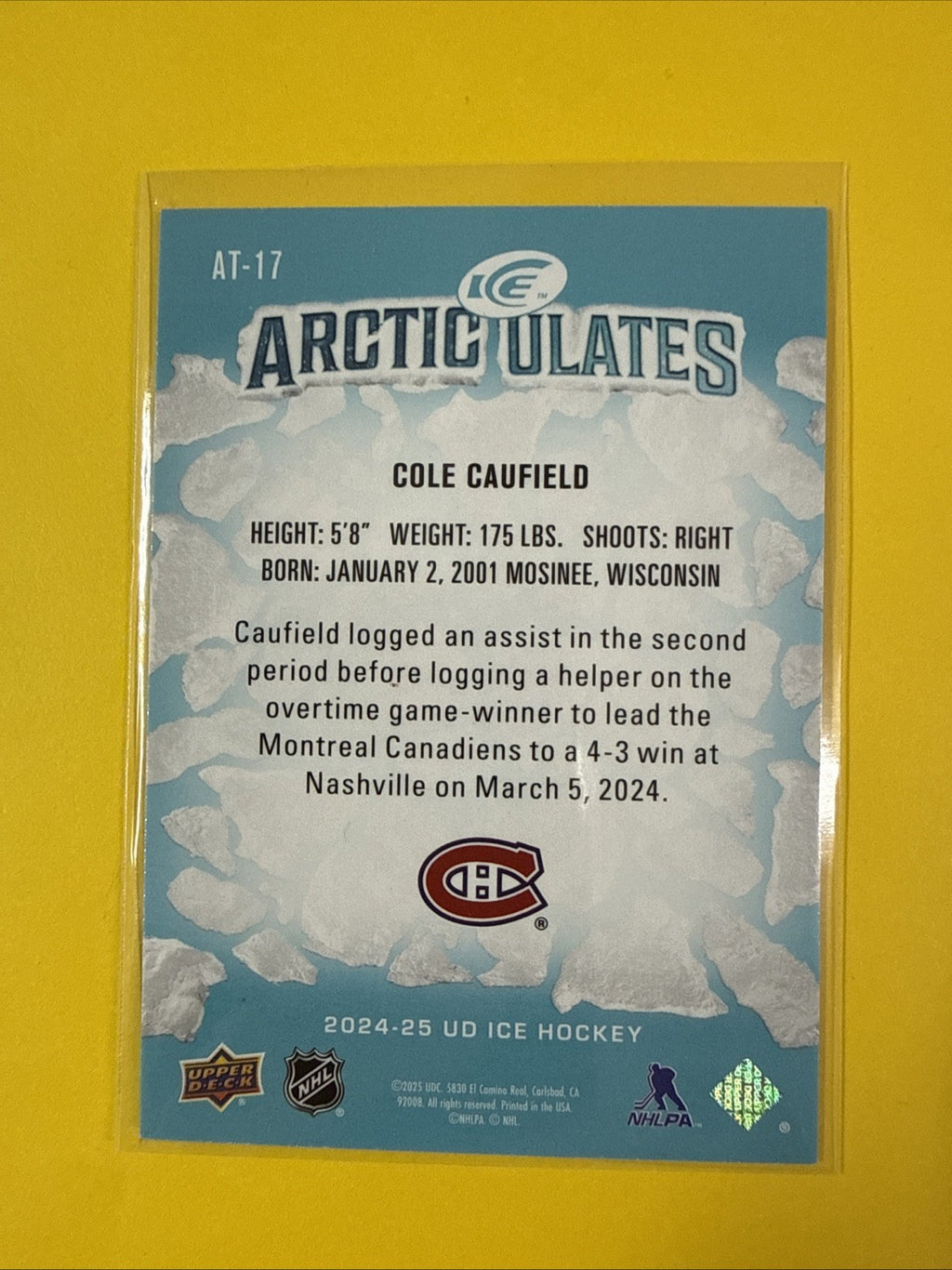 Cole Caufield 2024/25 Ice Arcticulateds Card - back